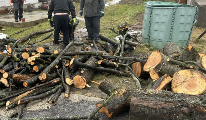 Rozvojový tím v akcii / Upratovanie okolia po plánovanom výrube drevín - foto