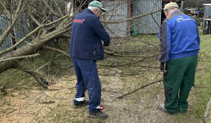 Rozvojový tím v akcii / Upratovanie okolia po plánovanom výrube drevín - foto