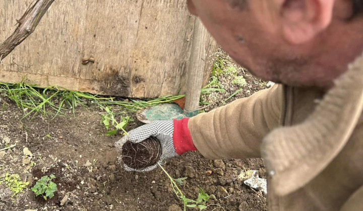 Rozvojový tím v akcii / Intervencia pracovníka pre bývanie - foto
