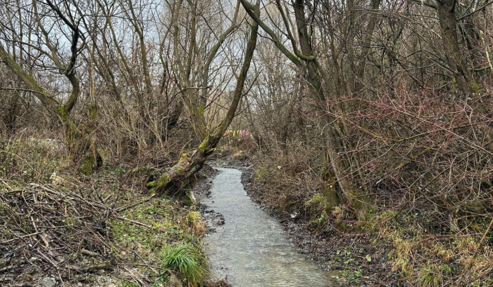 Aktuality / Čistenie po záplave v osídlení MRK - foto