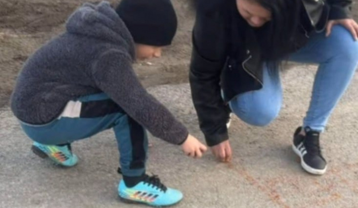 Rozvojový tím v akcii / Práca s deťmi v prirodzenom prostredí - foto