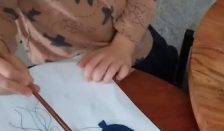 Rozvojový tím v akcii / Práca s deťmi v prirodzenom prostredí - foto