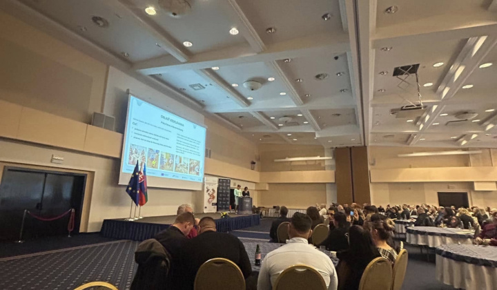 Rozvojový tím v akcii / Konferencia Národného projektu Rozvojové tímy I - foto