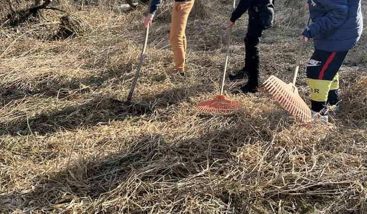 Rozvojový tím v akcii / Údržba a poriadok okolia - foto