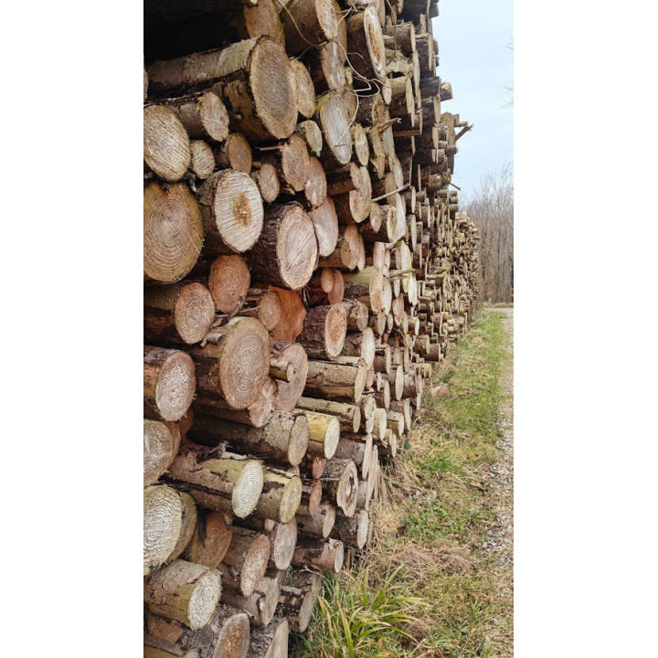 Menšia fotka pre článok Vydanie súhlasu na výrub drevín rastúcich mimo les v zmysle § 47 ods. 3 zákona č. 543/2002 Z. z. o ochrane prírody a krajiny na parc. č. C-KN 63/1 k.ú. obce Vyšný Mirošov